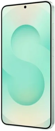 Samsung Galaxy S25 12+ 512Gb Mint (Snapdragon,2 nano-SIM)